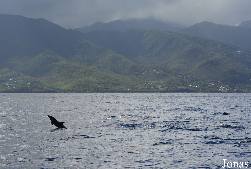 Guadeloupe