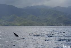Guadeloupe