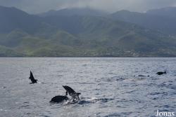 Guadeloupe