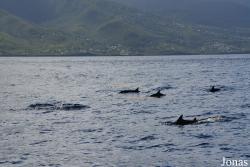 Guadeloupe