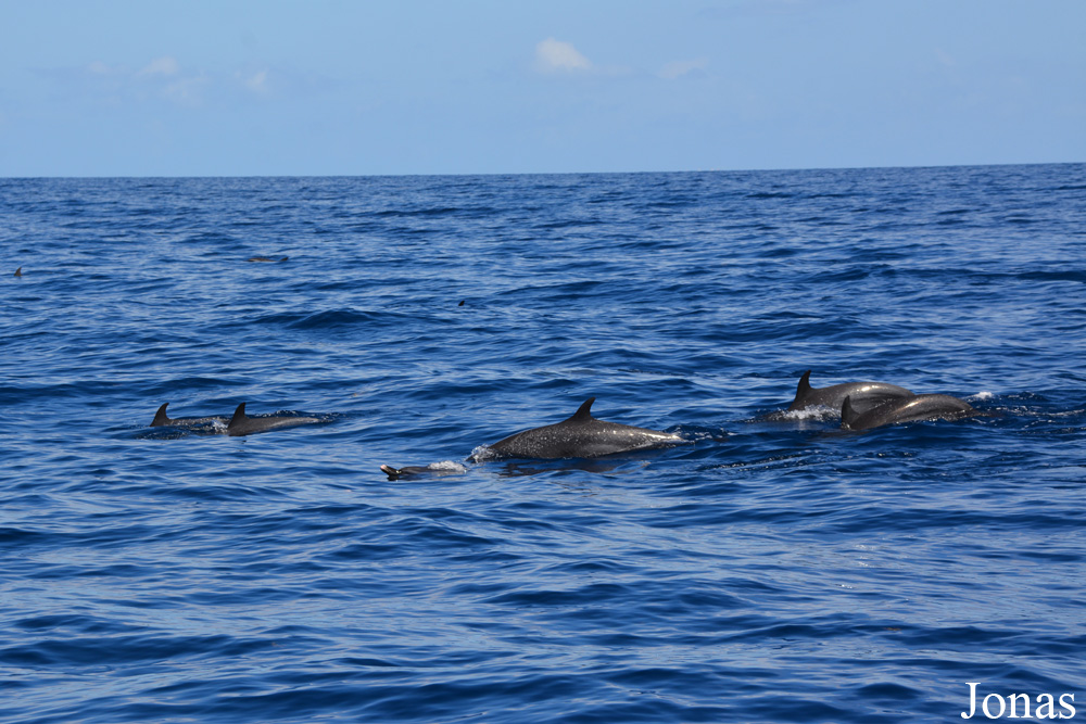 Guadeloupe