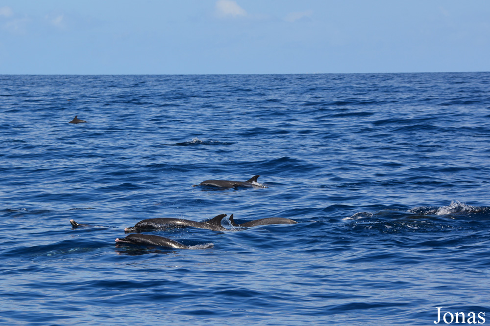 Guadeloupe