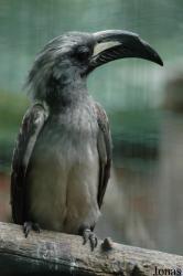 Tier- und Freizeitpark Thüle