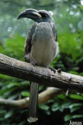 Tier- und Freizeitpark Thüle