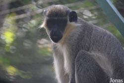 Zoo de Guadeloupe