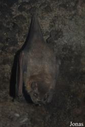 Zoo de Guadeloupe