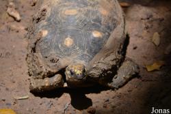 Zoo de Guadeloupe