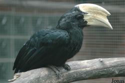Tier- und Freizeitpark Thüle