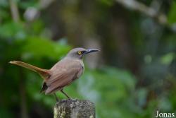 Parc National de Guadeloupe