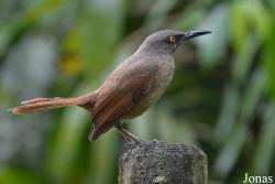 Parc National de Guadeloupe