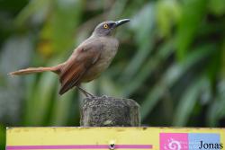 Parc National de Guadeloupe