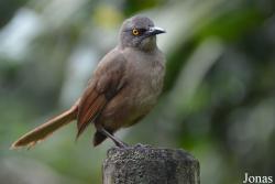 Parc National de Guadeloupe