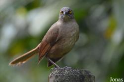 Parc National de Guadeloupe