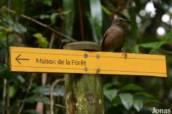 Parc National de Guadeloupe