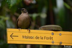 Parc National de Guadeloupe