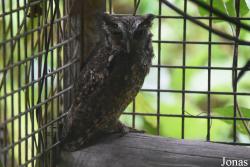 Zoo de Guyane