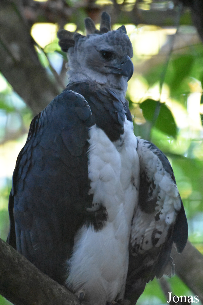 Zoo de Guyane