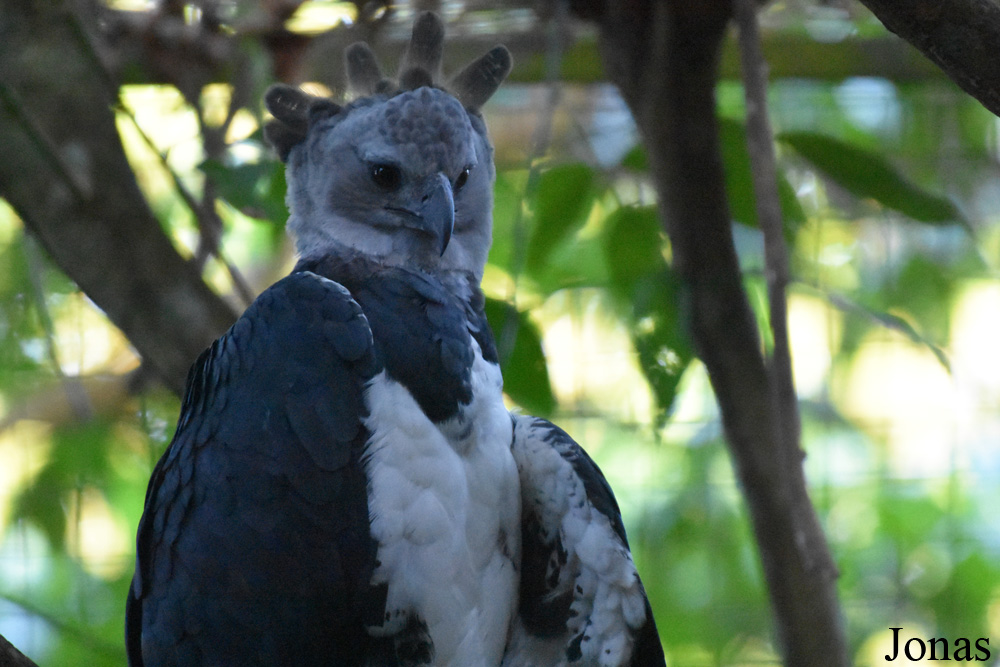 Zoo de Guyane