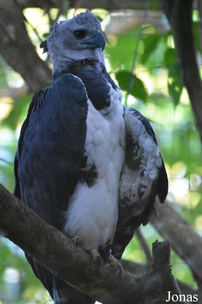 Zoo de Guyane