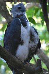 Zoo de Guyane
