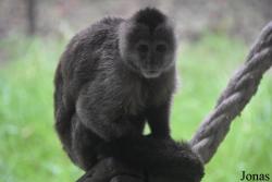 Zoo de Guyane