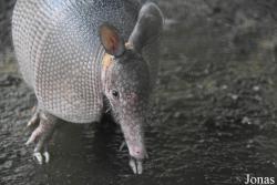 Zoo de Guyane