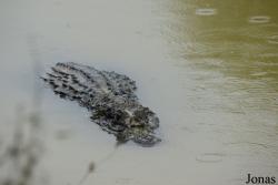 Zoo de Guyane