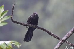 Mont Paramana