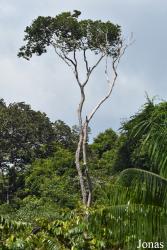 Mont Paramana