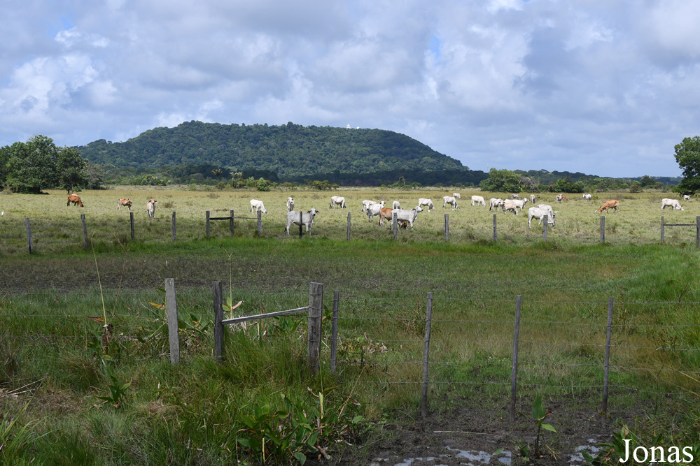 Route de Guatemala