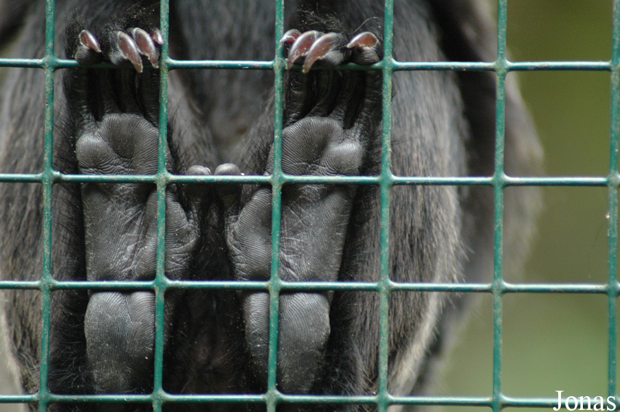Tier- und Freizeitpark Thüle