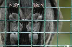 Tier- und Freizeitpark Thüle