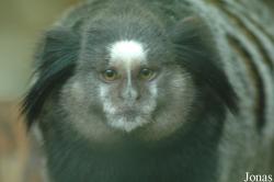 Tier- und Freizeitpark Thüle