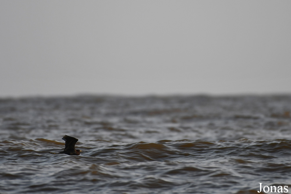 Fleuve Sinnamary
