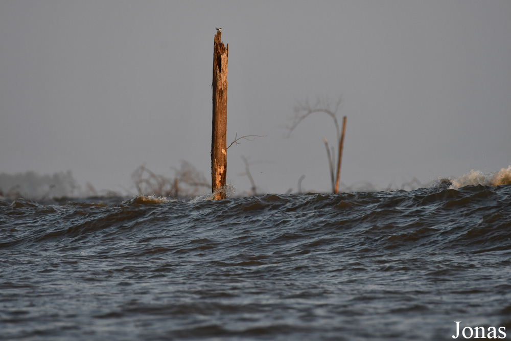 Fleuve Sinnamary