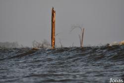 Fleuve Sinnamary