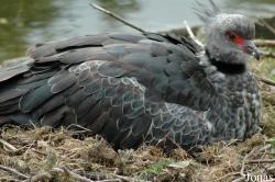 Tier- und Freizeitpark Thüle