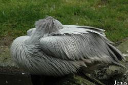 Tier- und Freizeitpark Thüle