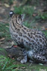 Parc Zoologique et Botanique de Mulhouse