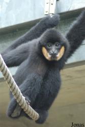 Parc Zoologique et Botanique de Mulhouse