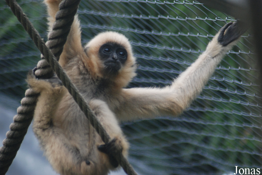 Parc Zoologique et Botanique de Mulhouse