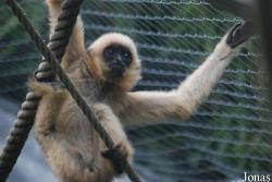 Parc Zoologique et Botanique de Mulhouse