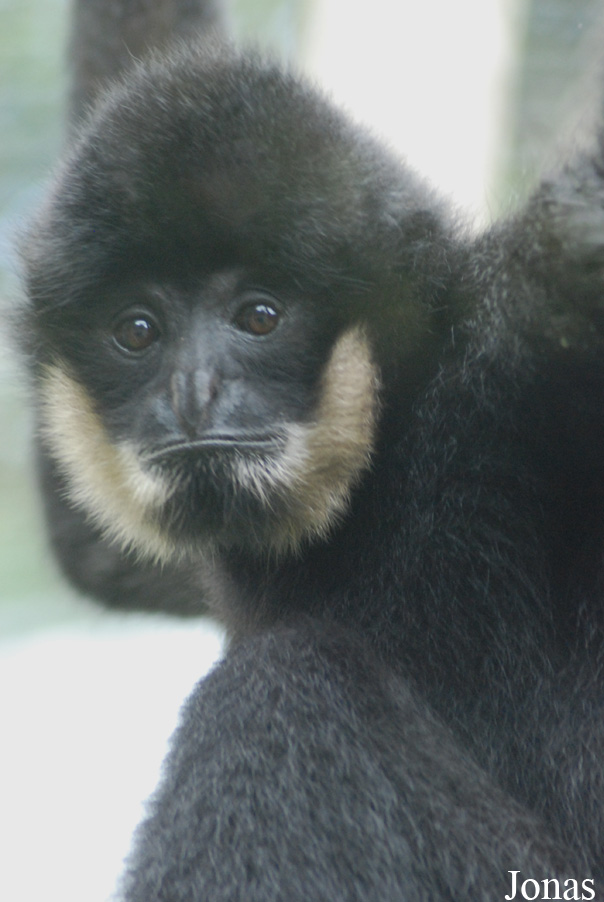 Parc Zoologique et Botanique de Mulhouse