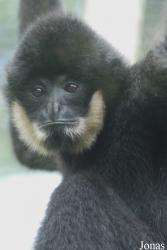Parc Zoologique et Botanique de Mulhouse