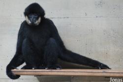 Parc Zoologique et Botanique de Mulhouse