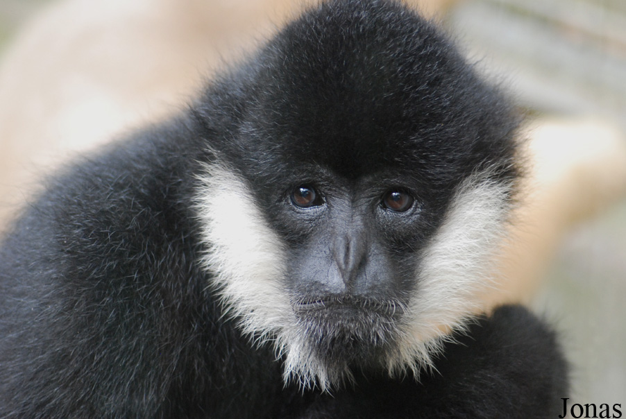 Parc Zoologique et Botanique de Mulhouse