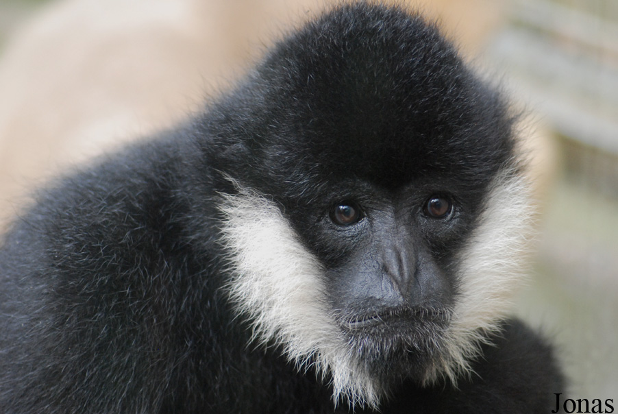Parc Zoologique et Botanique de Mulhouse