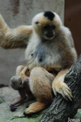 Parc Zoologique et Botanique de Mulhouse