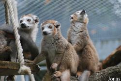Parc Zoologique et Botanique de Mulhouse