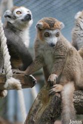 Parc Zoologique et Botanique de Mulhouse